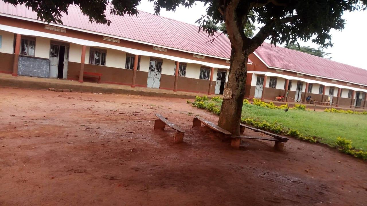 Activity Image